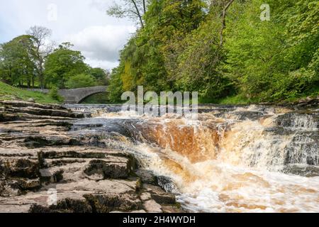 Blick auf Stainforth Force in den Yorkshire Dales Stockfoto