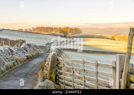 Blick von Thorpe in Richtung Linton in den Yorkshire Dales Stockfoto