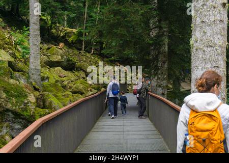 LLEIDA, SPANIEN - 28. JULI 2021: Blick auf Menschen mit Schutzmasken, die durch einen Gehweg gehen, mitten in einem Wald im Naturpark von Wild A Stockfoto