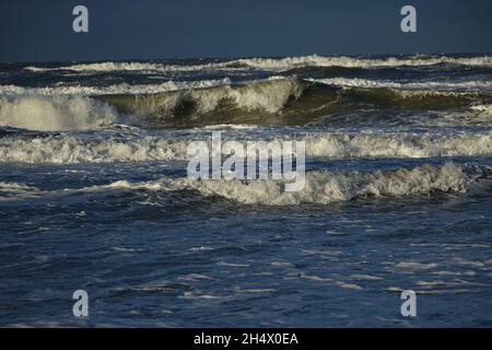 Rollende Nordseewellen an einem sonnigen, stürmischen Wintermorgen, Egmond aan Zee, Nordholland, Niederlande Stockfoto