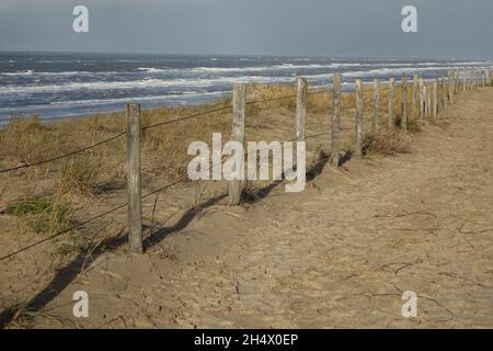 Sandiger Dünenweg mit Drahtzaun am Nordseestrand mit rollenden Wellen an einem sonnigen stürmischen Wintermorgen, Egmond aan Zee, Nordholland, Niederlande Stockfoto