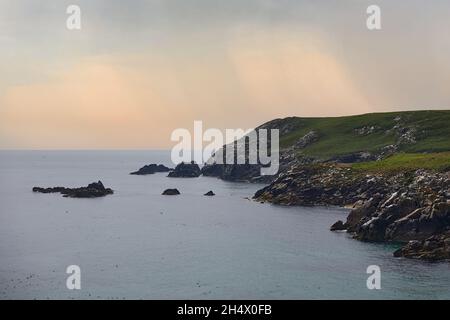 SALTEE ISLAND, IRLAND, Küste in Saltee Inseln voller Vögel bei Sonnenuntergang Stockfoto