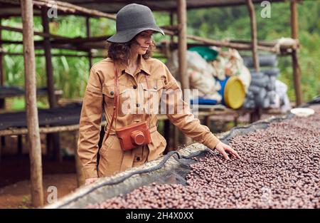 kaukasische Frau testet natürliche trocknende Kaffeebohnen im Kaffeeproduktionszentrum in afrika Stockfoto