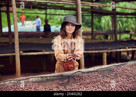 kaukasische Frau testet natürliche trocknende Kaffeebohnen im Kaffeeproduktionszentrum in afrika Stockfoto