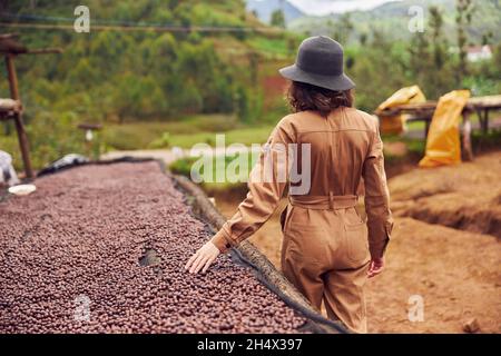 kaukasische Frau testet natürliche trocknende Kaffeebohnen im Kaffeeproduktionszentrum in afrika Stockfoto