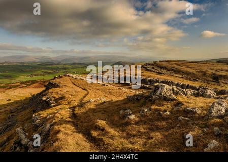 Kalksteinlandschaft auf Farleton fiel in der Nähe von Milnthorpe in Cumbria Stockfoto