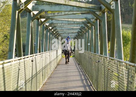 Pferd und Reiter nähern sich auf einer Fußgängerbrücke über den Fluss auf dem Land in Großbritannien. Stockfoto