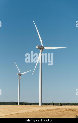 Zwei Windmühlen auf einem Getreidefeld mit blauem Horizont Stockfoto