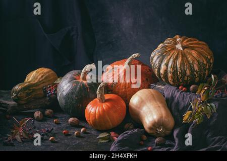Stillleben im Herbst mit verschiedenen Kürbissen - cucurbita Früchte in verschiedenen Farben und Größen mit Nüssen und Beeren. Konzept des Thanksgiving-Tages mit sp Stockfoto