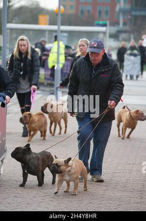 Hunde und ihre Besitzer kommen zum zweiten Tag der Hundeausstellung Crufts 2017 im NEC in Birmingham, Großbritannien, an. Bilddatum: Freitag, 10. März 2017. Foto: Katja Ogrin/ EMPICS Entertainment. Stockfoto