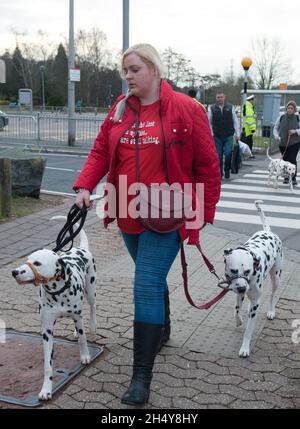 Hunde und ihre Besitzer kommen zum zweiten Tag der Hundeausstellung Crufts 2017 im NEC in Birmingham, Großbritannien, an. Bilddatum: Freitag, 10. März 2017. Foto: Katja Ogrin/ EMPICS Entertainment. Stockfoto