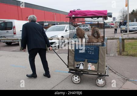 Hunde und ihre Besitzer kommen zum zweiten Tag der Hundeausstellung Crufts 2017 im NEC in Birmingham, Großbritannien, an. Bilddatum: Freitag, 10. März 2017. Foto: Katja Ogrin/ EMPICS Entertainment. Stockfoto