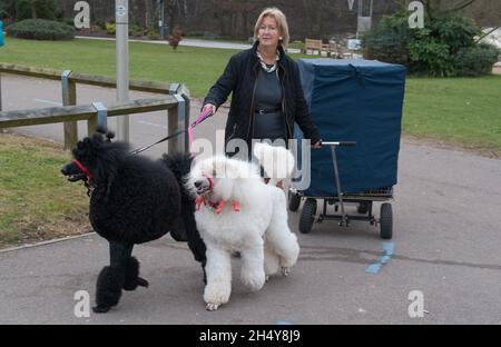 Hunde und ihre Besitzer kommen zum zweiten Tag der Hundeausstellung Crufts 2017 im NEC in Birmingham, Großbritannien, an. Bilddatum: Freitag, 10. März 2017. Foto: Katja Ogrin/ EMPICS Entertainment. Stockfoto