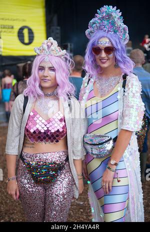 Festivalbesucher beim Leeds Festival 2017 im Bramham Park, Yorkshire, Großbritannien. Bilddatum: Samstag, 26. August 2017. Foto: Katja Ogrin/ EMPICS Entertainment. Stockfoto