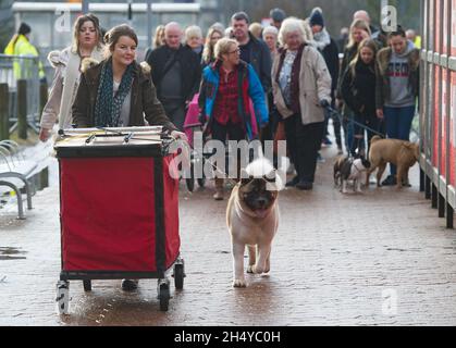 Hunde und ihre Besitzer kommen am 3. Tag auf der Crufts Hundeausstellung im NEC in Birmingham, Großbritannien, an. Bilddatum: Samstag, 10. März 2018. Foto: Katja Ogrin/ EMPICS Entertainment. Stockfoto
