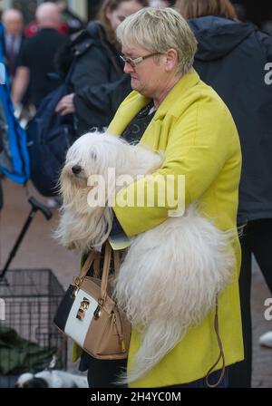 Hunde und ihre Besitzer kommen am 3. Tag auf der Crufts Hundeausstellung im NEC in Birmingham, Großbritannien, an. Bilddatum: Samstag, 10. März 2018. Foto: Katja Ogrin/ EMPICS Entertainment. Stockfoto