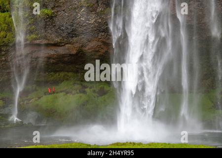 Nahaufnahme des Seljalandsfoss Wasserfalls in Island mit einigen Menschen in roten Röcken, die mit ihm in Spray und Nebel auf dem Fußweg hinter dem Wasserfall spazieren Stockfoto