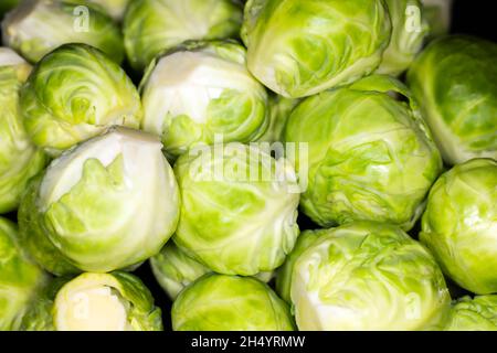 Rosenkohl Stockfoto