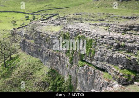 Yorkshire, Blick im Sommer auf einen Abschnitt Malham Cove, eine Kalksteinklippe aus dem Jahr 260ft in Malhamdale, einem Gebiet von außergewöhnlicher natürlicher Schönheit in North Yorkshire, Großbritannien Stockfoto