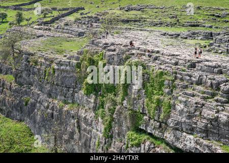 Yorkshire, Blick im Sommer auf einen Abschnitt Malham Cove, eine Kalksteinklippe aus dem Jahr 260ft in Malhamdale, einem Gebiet von außergewöhnlicher natürlicher Schönheit in North Yorkshire, Großbritannien Stockfoto