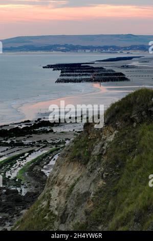 FRANKREICH, PAS-DE-CALAIS (62), REGIONALER NATURPARK DER KAPPEN UND SÜMPFE VON OPAL, AUDINGHEN, DIE KÜSTE VON OPAL BLICK VON CAPE GRIS-NEZ Stockfoto