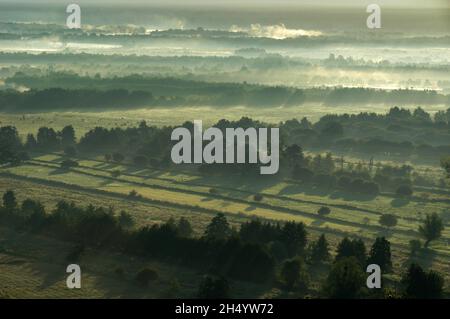 FRANKREICH, EURE (27), REGIONALER NATURPARK BOUCLES DE LA SEINE NORMANDE, NATURSCHUTZGEBIET MARAIS-VERNIER, MANEVILLES Stockfoto