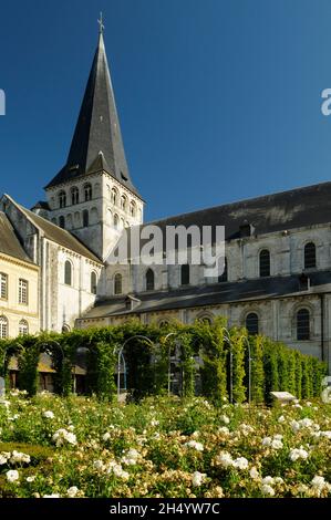 FRANKREICH, SEINE-MARITIME (76), REGIONALER NATURPARK BOUCLES DE LA SEINE NORMANDE, SAINT-MARTIN-DE-BOSCHERVILLE, ABTEI SAINT-GEORGES DE BOSCHERVILLE Stockfoto