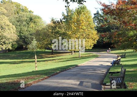 Colchester, Großbritannien. 05.. November 2021. Entspannen in der warmen Herbstsonne im Castle Park, Colchester, Essex. Kredit: Eastern Views/Alamy Live Nachrichten Stockfoto