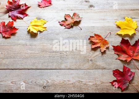 Herbstblätter auf Holzbrettern, Hintergrund des Herbstes. Schöne Herbstblätter auf Holzgrund. Stockfoto