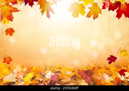 Herbstlandschaft, schöner Stadtpark mit gefallenen gelben Blättern. Nahaufnahme von hellem Laub im sonnigen Herbstpark. Konzept der Herbstsaison. Goldenes Autum Stockfoto