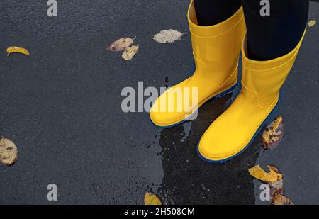 Füße in Gummistiefeln auf dem nassen Asphalt. Stockfoto