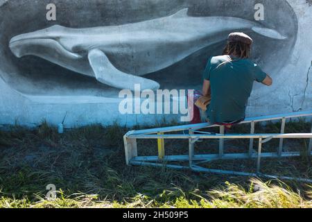 Rückansicht eines freiberuflichen Malers, der auf einer Leiter sitzt und schöne Wandgemälde mit Walen an der Wand anmalt Stockfoto