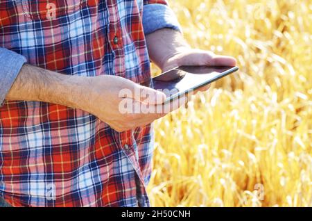 Landwirt setzt seine tablet pc bereit zur Ernte Weizenfeld Stockfoto