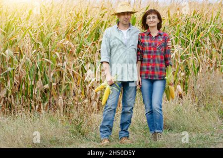 Die kaukasische Zweierfamilie aus dem mittleren Alter steht neben dem Maisfeld mit Maiskolben in den Händen Stockfoto