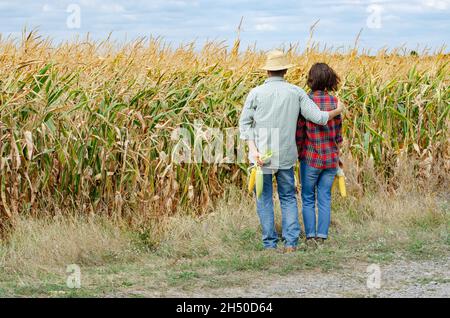 Kaukasische zweiköpfige Bauernfamilie im mittleren Alter mit Maiskolben in den Händen und Blick auf Maisfeld Stockfoto