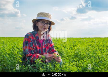 Kaukasische Farmarbeiterin mittleren Alters, die im Sommer das Medicago-Feld inspiziert Stockfoto