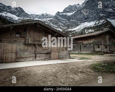 Bäume mit strahlendem Herbstlaub im hellen Sonnenlicht auf der Alp namens Grosser Ahornboden im Karwendelgebirge in Tirol in Österreich Stockfoto