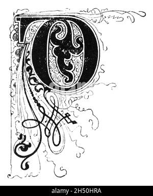 Großer dekorativer verzierter Buchstabe D, mit Blumenverzierung oder Ornament. Antike Vintage-Zeichnung Stockfoto