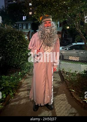 Porträt eines Mannes, der als Zauberer Dumbledore aus den Harry Potter Büchern zu einer Halloween-Party geht. Evening, Brooklyn, NY. Stockfoto