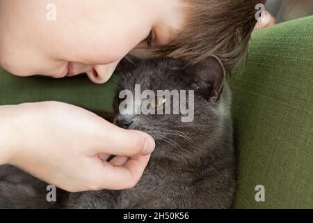 Nahaufnahme Porträt der grauen Katze küssen mit und Junge auf einem grünen Hintergrund. Die Gastgeberin streichelt sanft die Katze Stockfoto