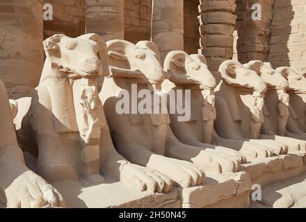 Die sam-köpfigen Sphinxes, Symbole des Amun, standen am Luxor, Ägyptens Karnak-Tempel, an Stockfoto