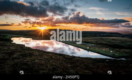 Wildpferde am Keepers Pond in Blaenavon, Brecon Beacons, South Wales Stockfoto