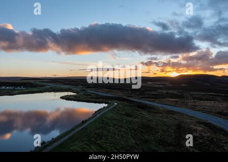 Wildpferde am Keepers Pond in Blaenavon, Brecon Beacons, South Wales Stockfoto