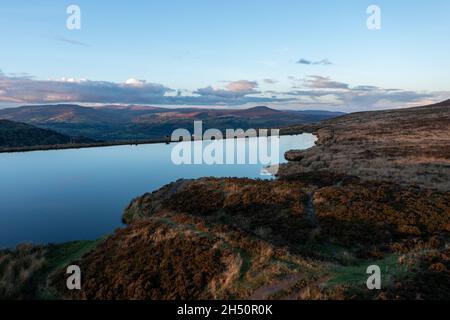 Wildpferde am Keepers Pond in Blaenavon, Brecon Beacons, South Wales Stockfoto