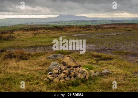 Spaziergang von Long Preston, um sich in den Yorkshire Dales über die New Plantation niederzulassen Stockfoto