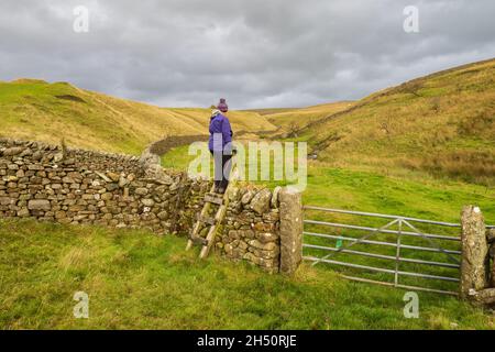 Spaziergang von Long Preston, um sich in den Yorkshire Dales über die New Plantation niederzulassen Stockfoto