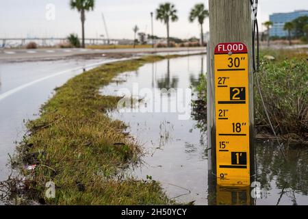 Charleston, USA. November 2022. Eine Hochwassermarkierung zeigt 9 Zoll Hochwasser entlang des Lockwood Drive nach einer Trockenwetterflut in der historischen Innenstadt am 5. November 2021 in Charleston, South Carolina. Der Klimawandel und der Anstieg des Meeresspiegels haben die Überschwemmungen entlang der Küste von Charleston in den letzten zehn Jahren um das Zehnfache erhöht. Quelle: Richard Ellis/Richard Ellis/Alamy Live News Stockfoto