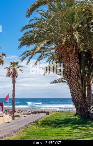 Einsamer Pfad in Richtung Playa del Camison, einem schönen Küstenstreifen mit einer langen, von Palmen gesäumten Promenade vor einem weißen Sandstrand Stockfoto
