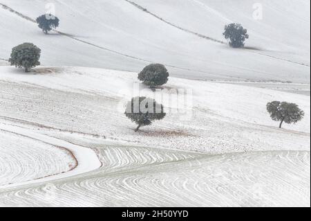 Landschaften des Innern von Granada - Andalusien - Spanien Stockfoto