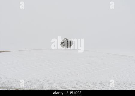 Landschaften des Innern von Granada - Andalusien - Spanien Stockfoto